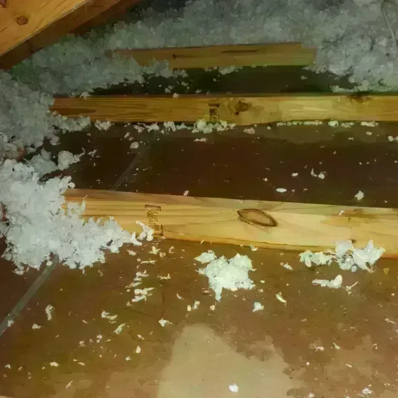 Attic Water Damage in Marshfield, MA